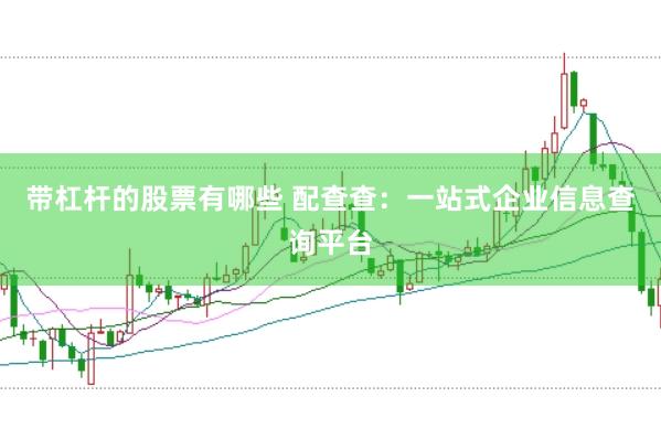 带杠杆的股票有哪些 配查查：一站式企业信息查询平台