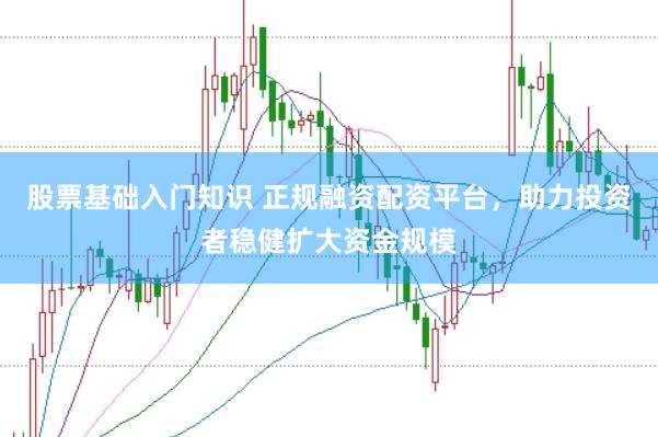 股票基础入门知识 正规融资配资平台，助力投资者稳健扩大资金规模