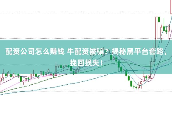 配资公司怎么赚钱 牛配资被骗？揭秘黑平台套路，挽回损失！