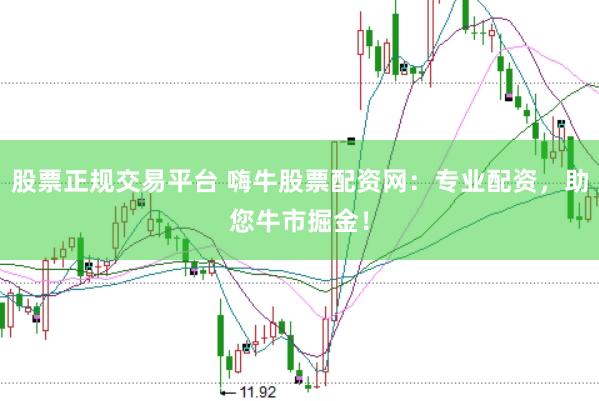 股票正规交易平台 嗨牛股票配资网：专业配资，助您牛市掘金！