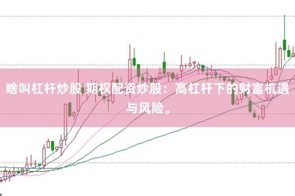 啥叫杠杆炒股 期权配资炒股：高杠杆下的财富机遇与风险。