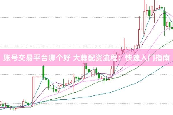 账号交易平台哪个好 大蒜配资流程：快速入门指南