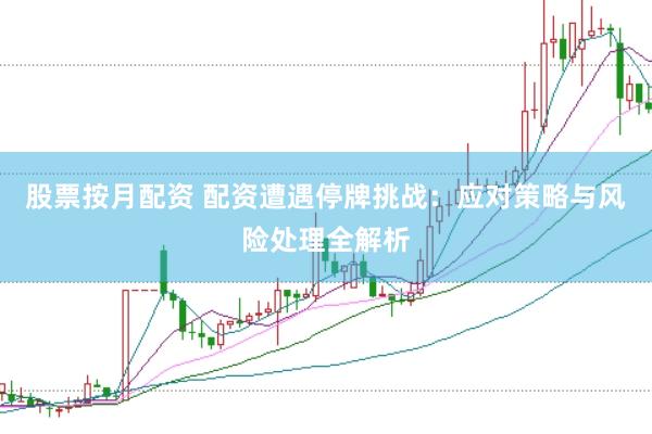 股票按月配资 配资遭遇停牌挑战：应对策略与风险处理全解析