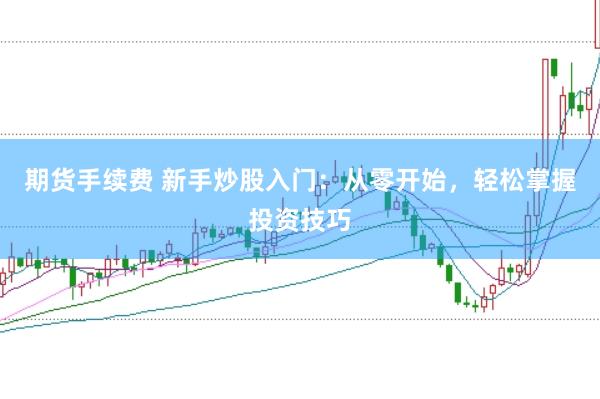 期货手续费 新手炒股入门：从零开始，轻松掌握投资技巧