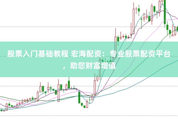 股票入门基础教程 宏海配资：专业股票配资平台，助您财富增值