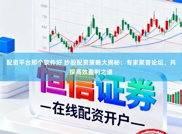 配资平台那个软件好 炒股配资策略大揭秘：专家聚首论坛，共探高效盈利之道