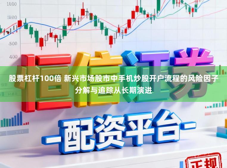股票杠杆100倍 新兴市场股市中手机炒股开户流程的风险因子分解与追踪从长期演进