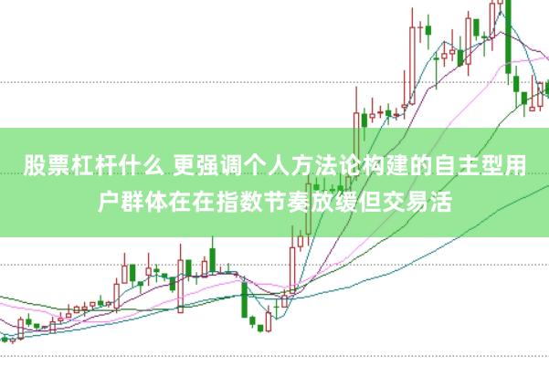 股票杠杆什么 更强调个人方法论构建的自主型用户群体在在指数节奏放缓但交易活