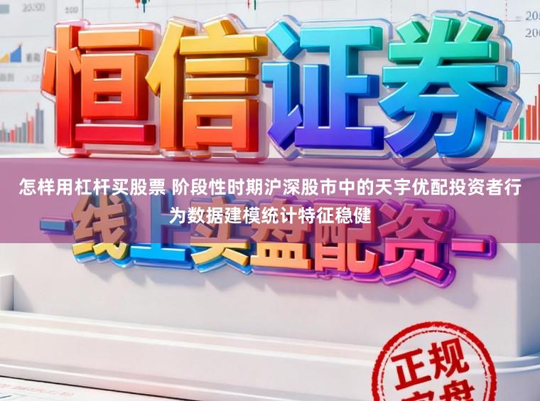 怎样用杠杆买股票 阶段性时期沪深股市中的天宇优配投资者行为数据建模统计特征稳健