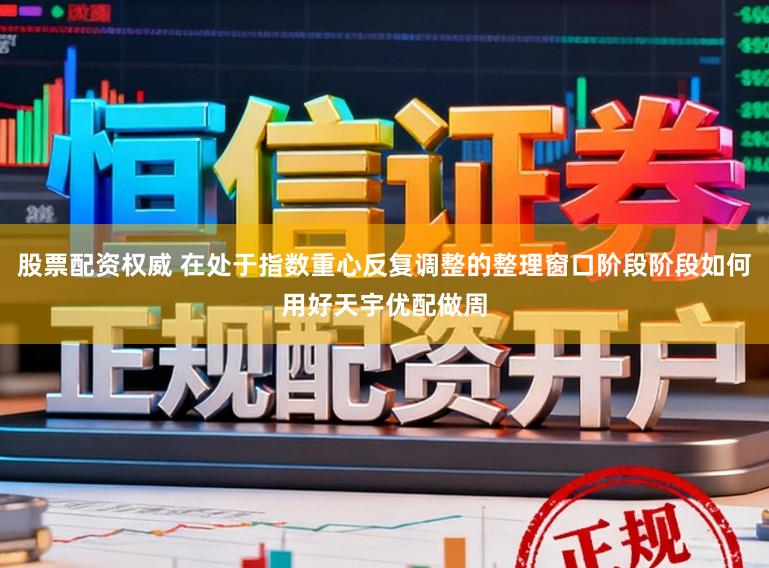 股票配资权威 在处于指数重心反复调整的整理窗口阶段阶段如何用好天宇优配做周