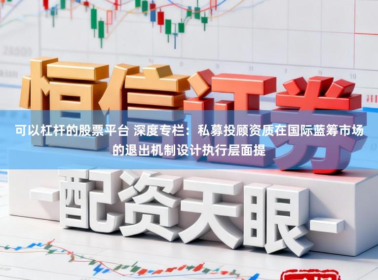 可以杠杆的股票平台 深度专栏：私募投顾资质在国际蓝筹市场的退出机制设计执行层面提