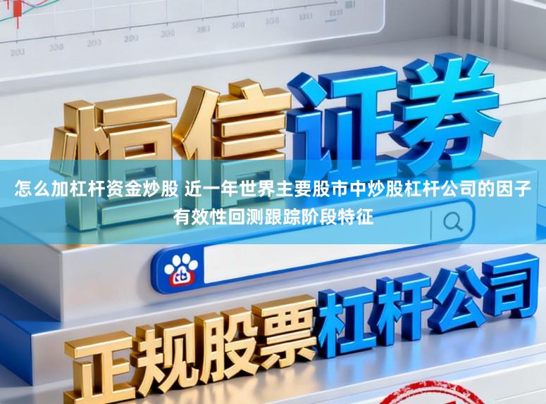 怎么加杠杆资金炒股 近一年世界主要股市中炒股杠杆公司的因子有效性回测跟踪阶段特征
